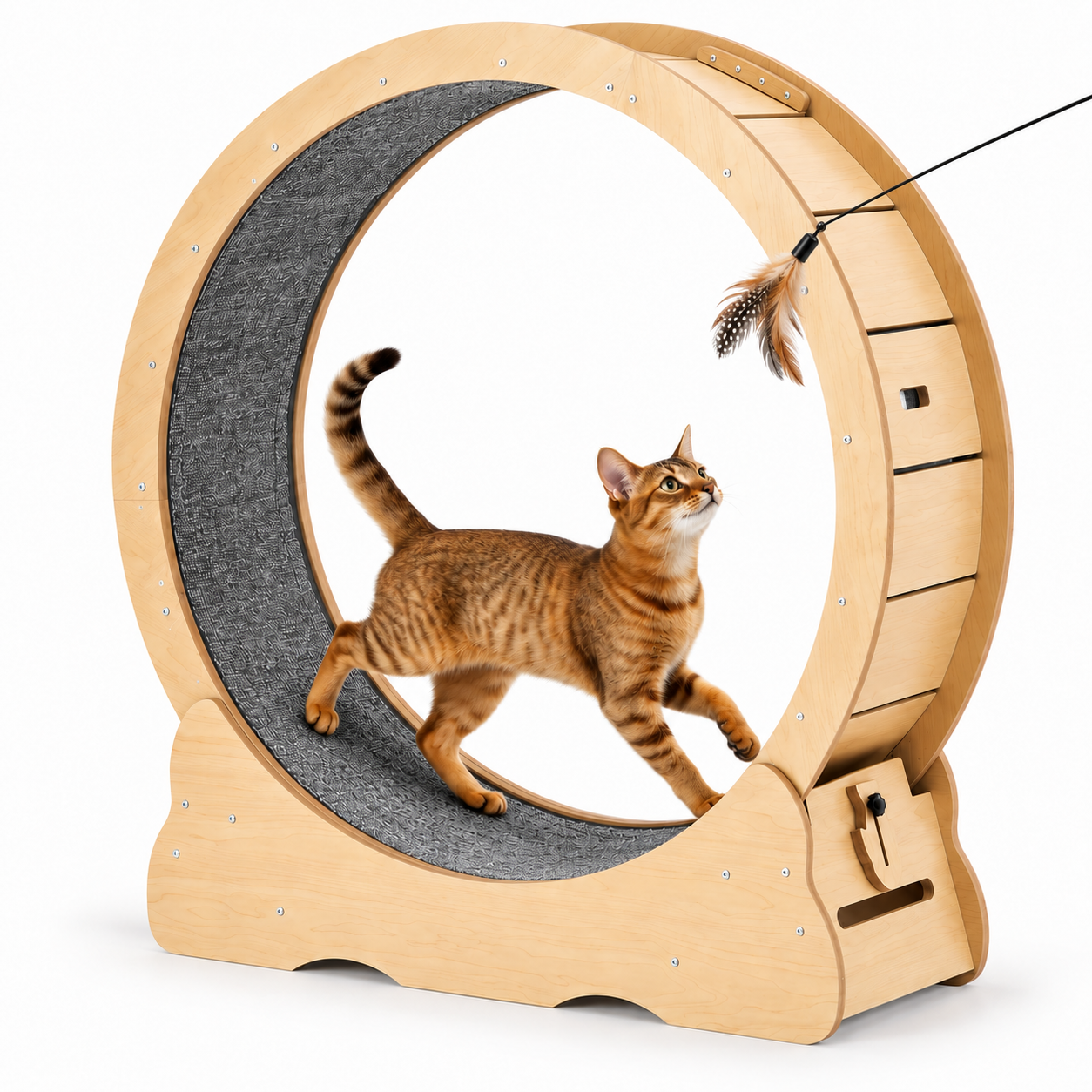 Wooden cat exercise wheel